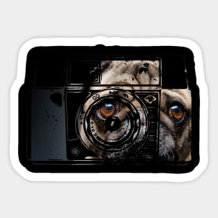 Bulldog Retro Camera Sticker